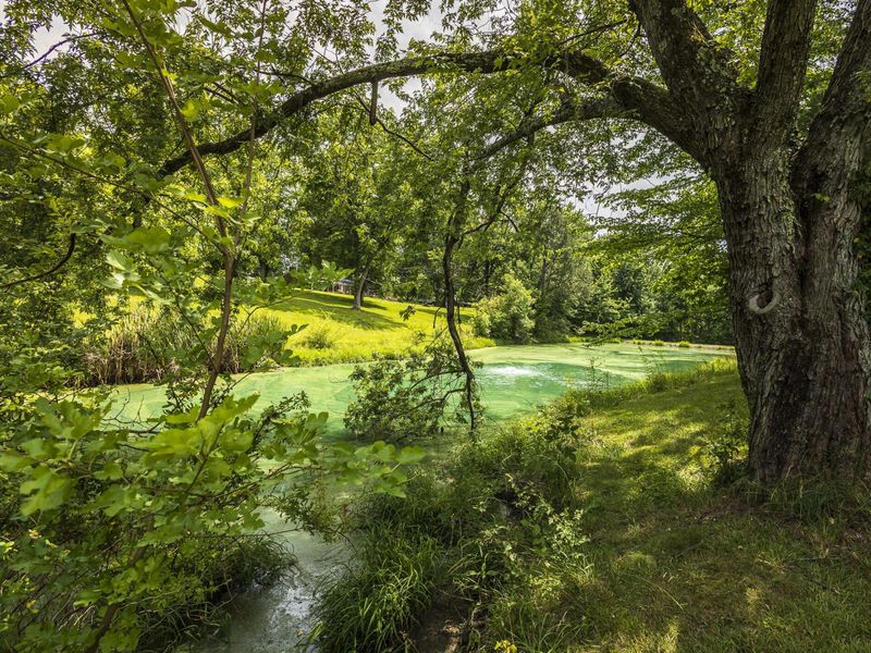 10509 Killarney Drive, Union, KY 41091 Photo 3