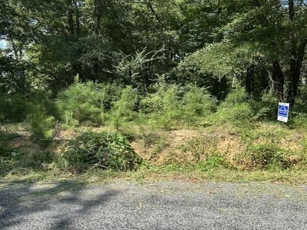 Lot 10 Dry Creek Road, Cleveland, AL 35049