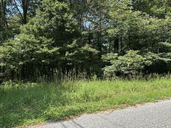 Lot 11 Dry Creek Road, Cleveland, AL 35049