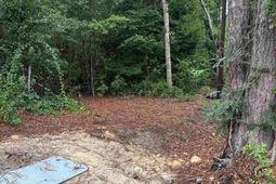 3318 Hollydale Drive  photo 4