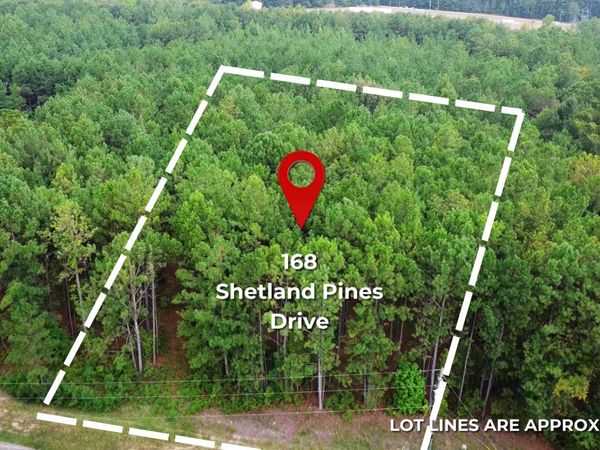 168 Shetland Pines Drive, Macon, GA 31216