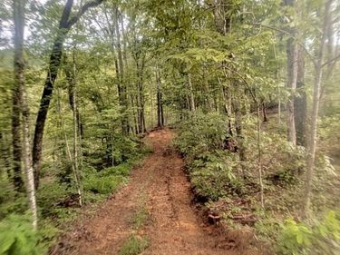 1111 Bridge Rock Road, McKee, KY 40447