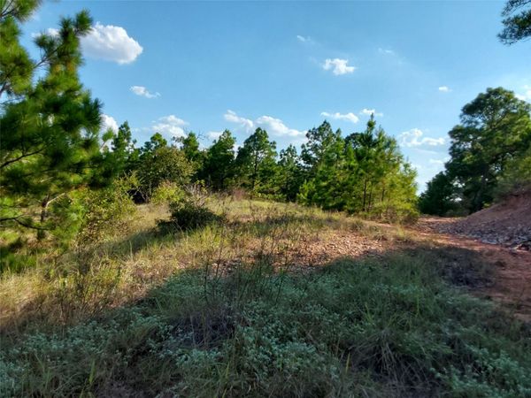 909 Hana Court ST, Bastrop, TX 78602