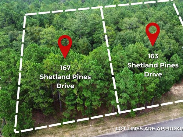 167 Shetland Pines Drive, Macon, GA 31216