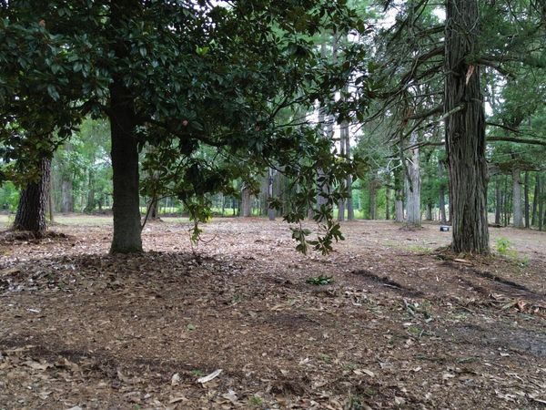 Tbd/Lot 3 Elmore , Laurinburg, NC 28352