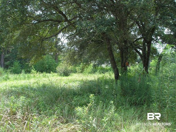 9451 N Creekside Dr, Unit Lot 79, Irvington, AL 36544