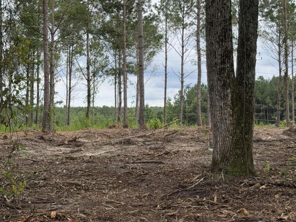 Tbd/Lot 4 Elmore , Laurinburg, NC 28352