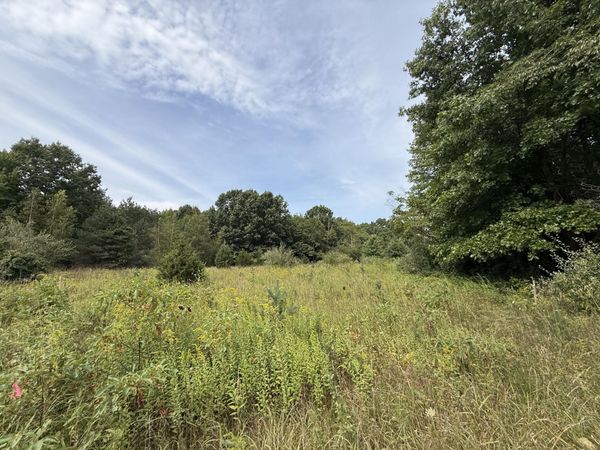 V/L Sawyer Road, Sawyer, MI 49125