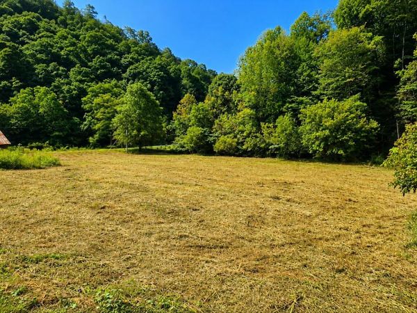 718 Kettle Hollow Rd, Maynardville, TN 37807