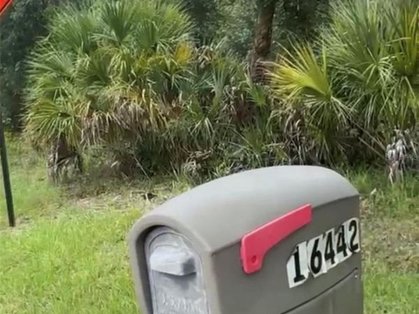 16443 CHAMBERLAIN BOULEVARD , PORT CHARLOTTE, FL 33954