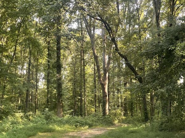 00 Warren Street , Cabot, AR 72023