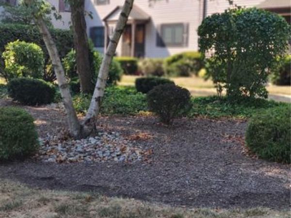 213 Rose Street , Metuchen, NJ 08840