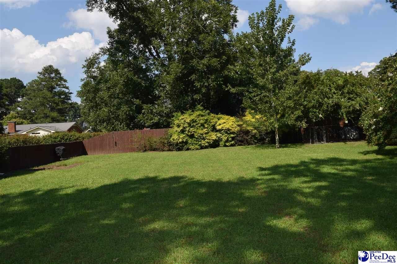 716 N Lansdowne Drive Photo 51