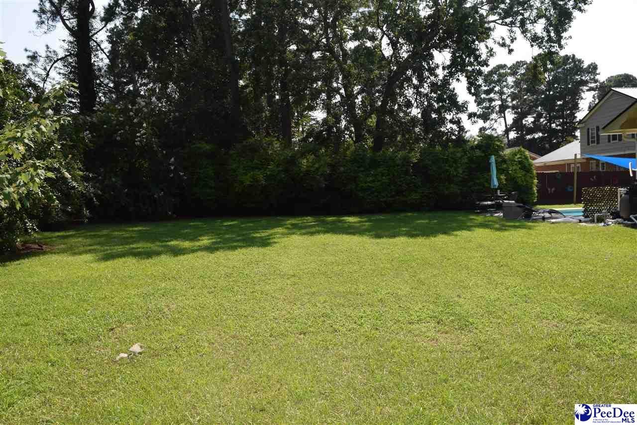 716 N Lansdowne Drive Photo 52