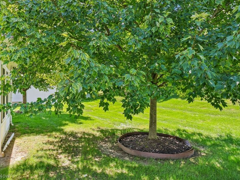 10268 Orchard Hill Lane, Unit 9C, Twinsburg, OH 44087 Photo 50