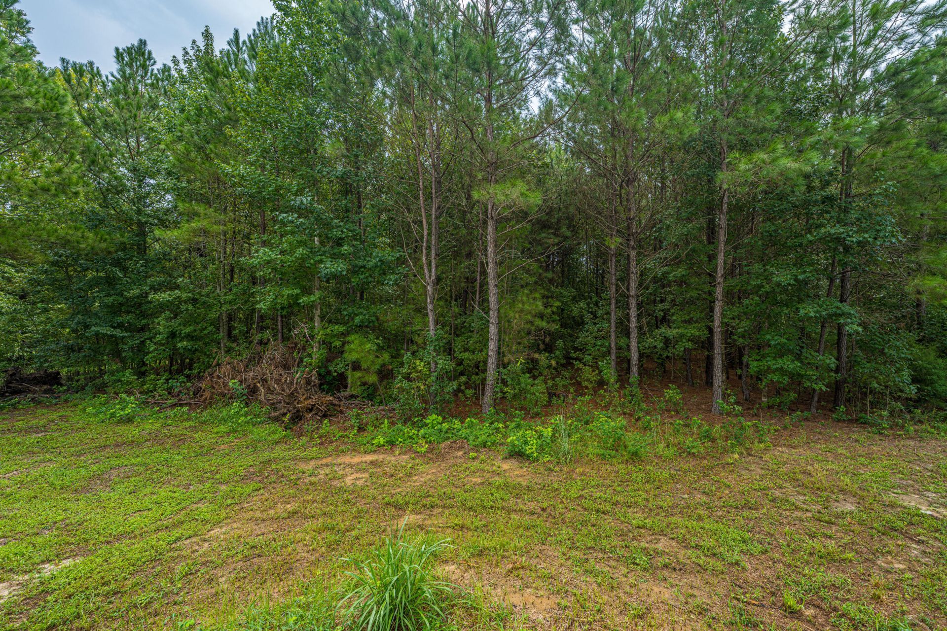 1064 Van Dyke Road Photo 60