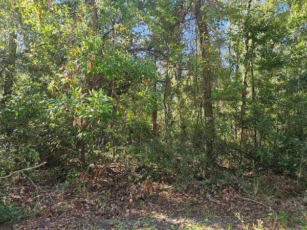Spruce Street, Ft. White, FL 32038