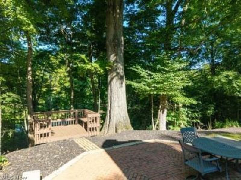 7787 Boneta Road, Wadsworth, OH 44281 Photo 34
