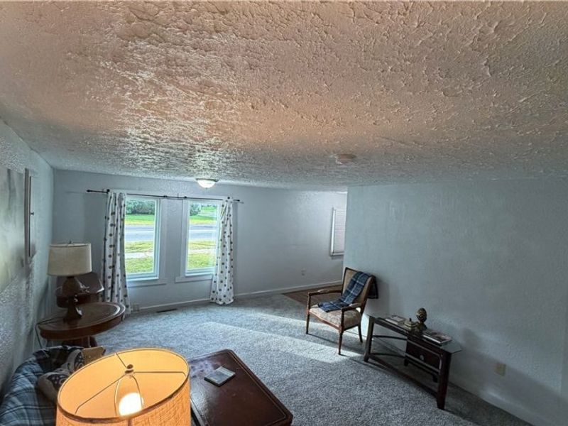 480 N Leavitt Road, Leavittsburg, OH 44430 Photo 19