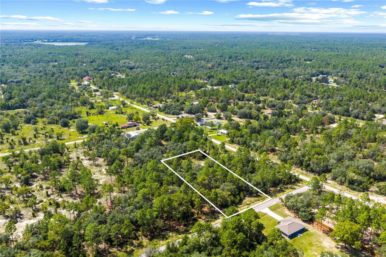 000 SW Lobelia Ct, Dunnellon, FL 34430 Photo