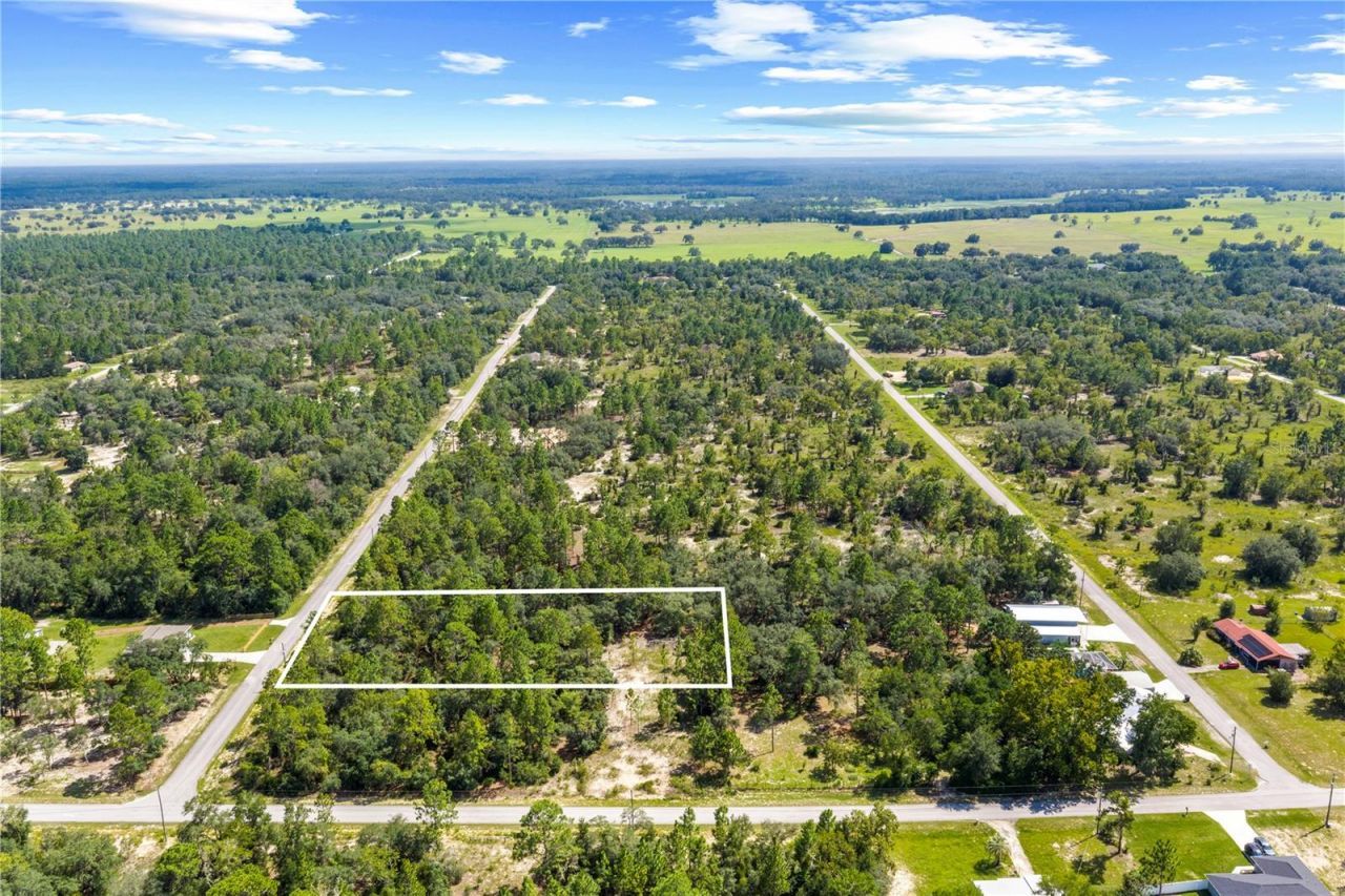 000 SW Lobelia Ct, Dunnellon, FL 34430 Photo