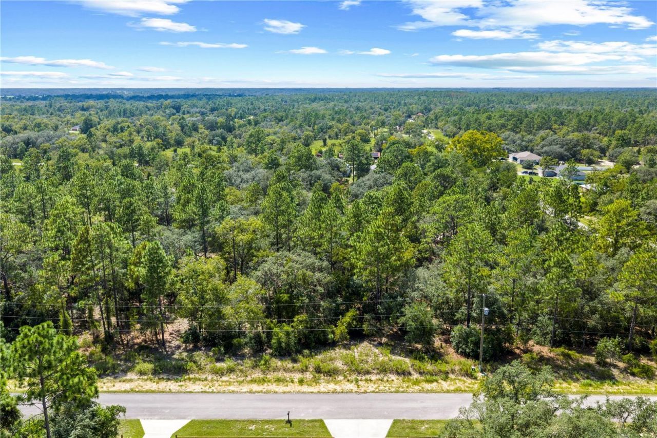 000 SW Lobelia Ct, Dunnellon, FL 34430 Photo