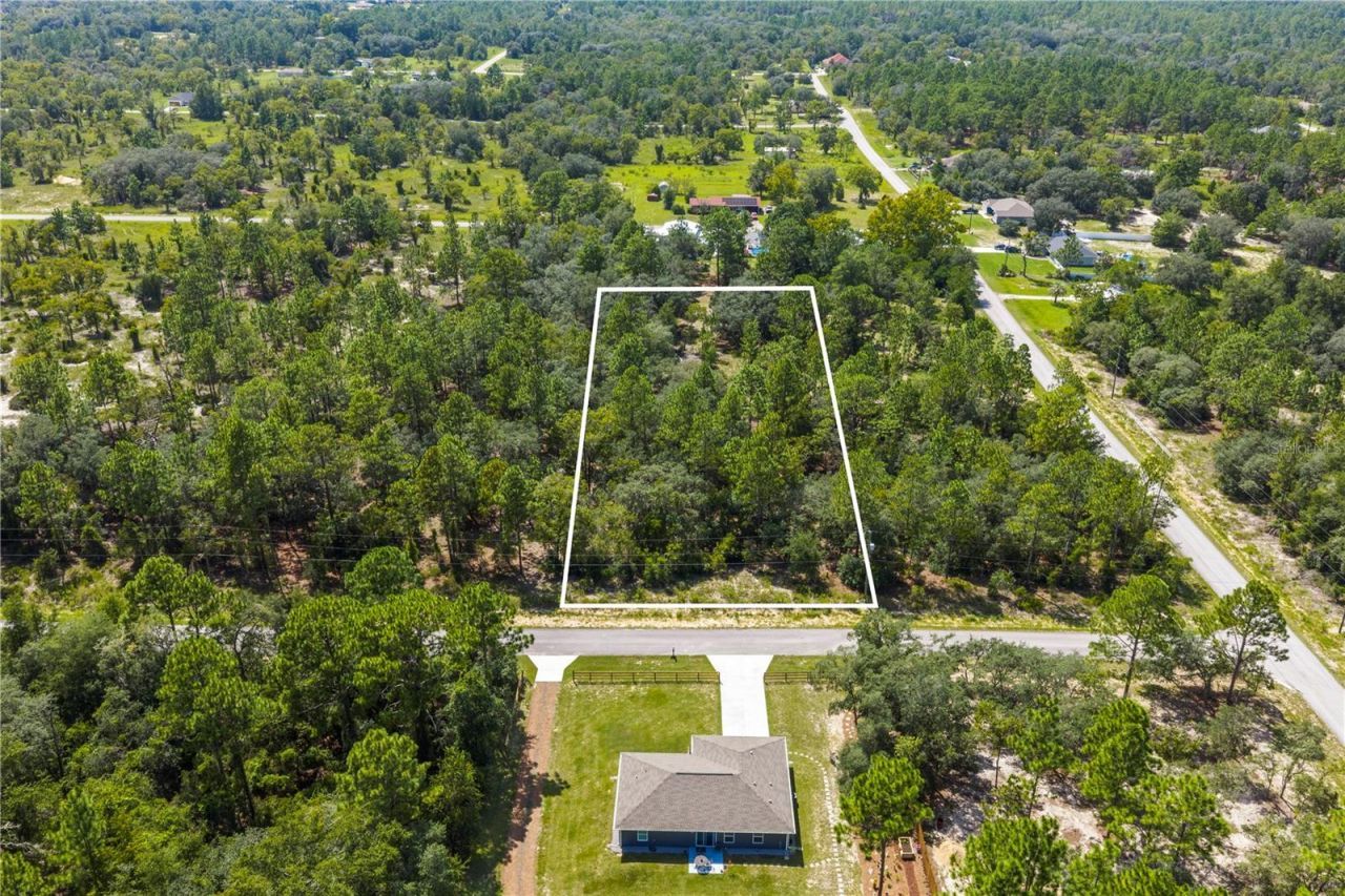 000 SW Lobelia Ct, Dunnellon, FL 34430 Photo