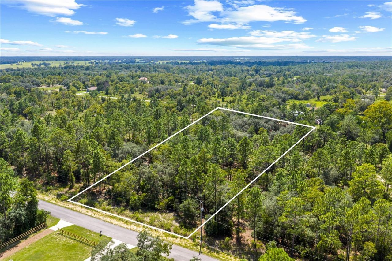 000 SW Lobelia Ct, Dunnellon, FL 34430 Photo