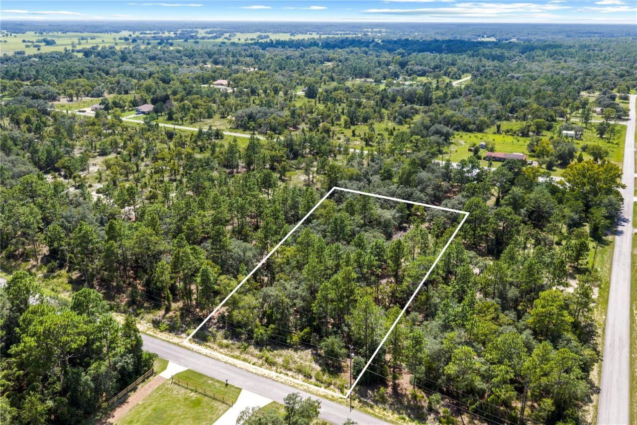 000 SW Lobelia Ct, Dunnellon, FL 34430 Photo
