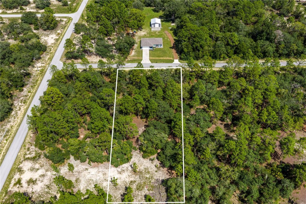 000 SW Lobelia Ct, Dunnellon, FL 34430 Photo