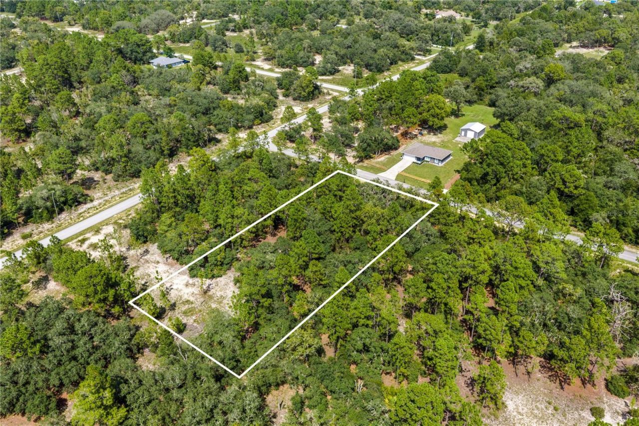 000 SW Lobelia Ct, Dunnellon, FL 34430 Photo