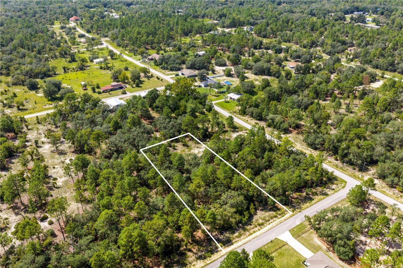 000 SW Lobelia Ct, Dunnellon, FL 34430 Photo