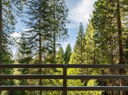 20429 Scotts Flat Rd, Nevada City, CA 95959 Photo