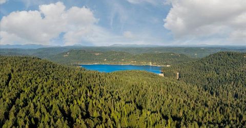 20429 Scotts Flat Rd, Nevada City, CA 95959 Photo