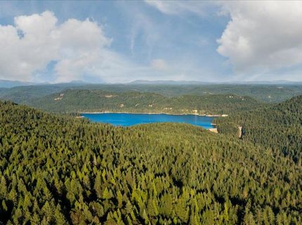 20429 Scotts Flat Rd, Nevada City, CA 95959 Photo