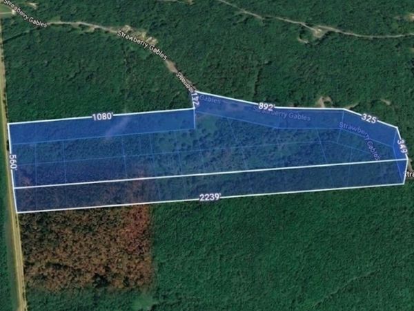 12946 Birdsong RD , Holladay, TN 38341