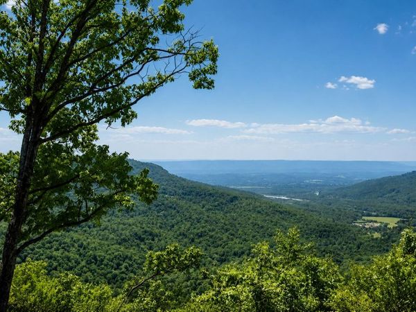 277 Sunset Circle, Jasper, TN 37347