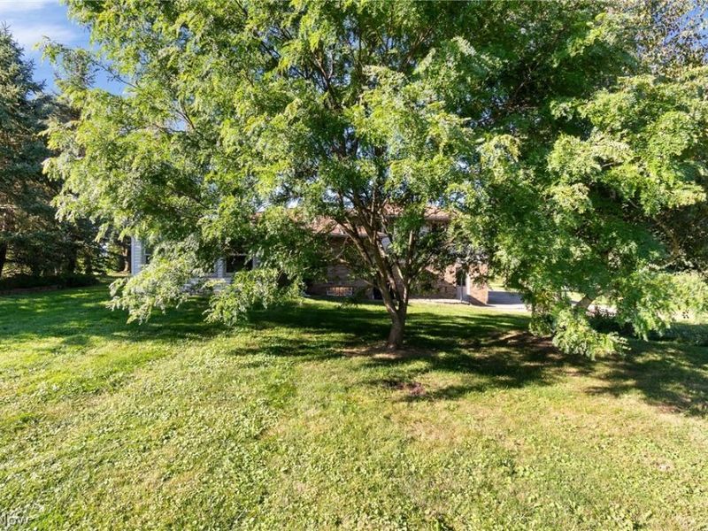 4047 Steiner Road, Creston, OH 44217 Photo 37