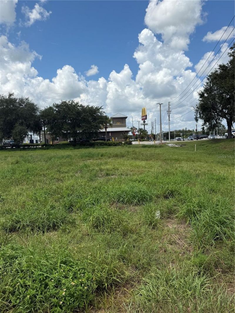 Miami Street, Lake Wales, FL 33853 Photo