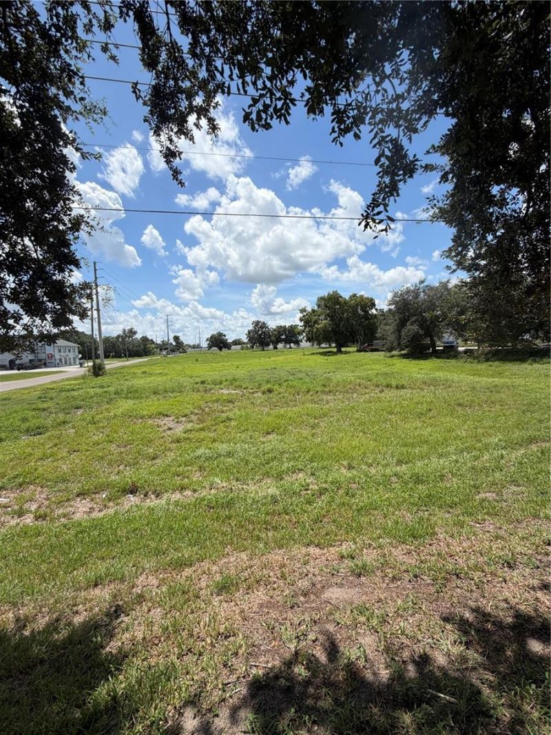 Miami Street, Lake Wales, FL 33853 Photo