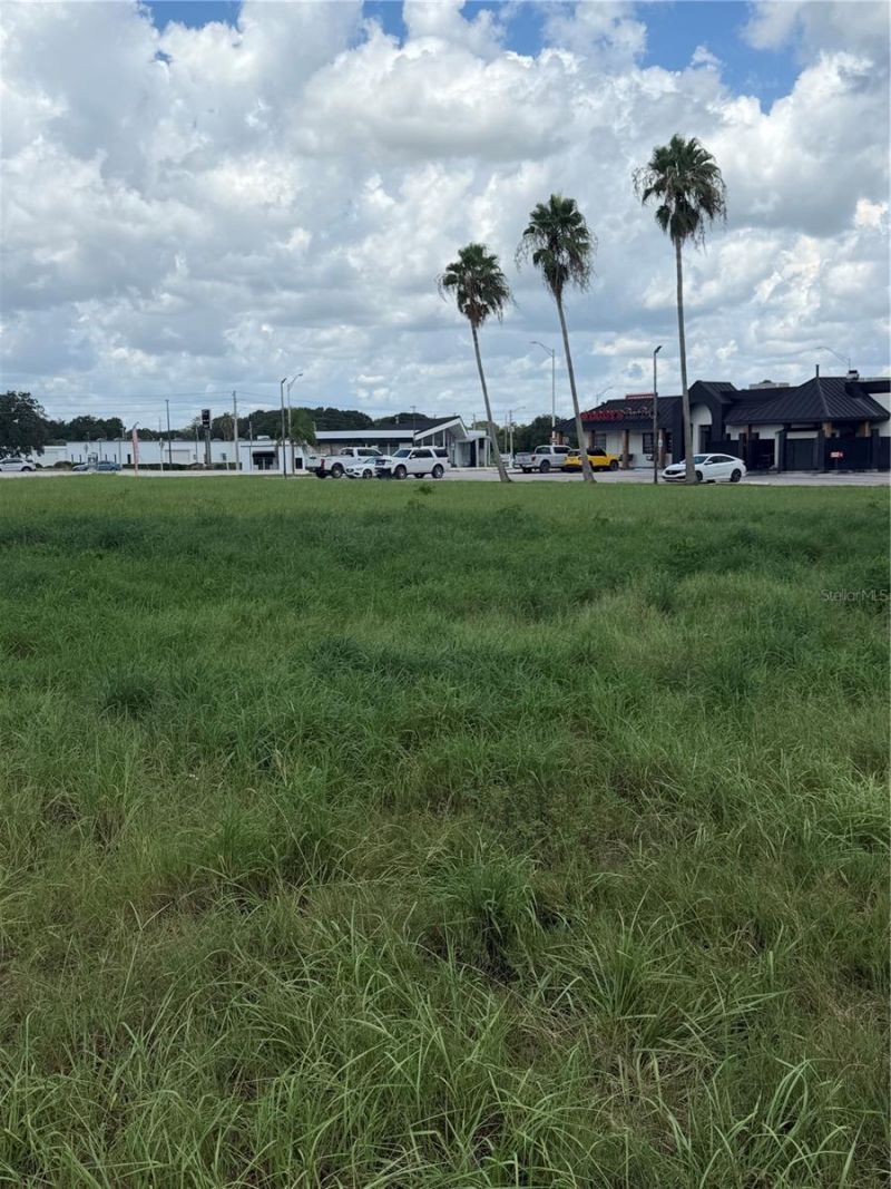 Miami Street, Lake Wales, FL 33853 Photo