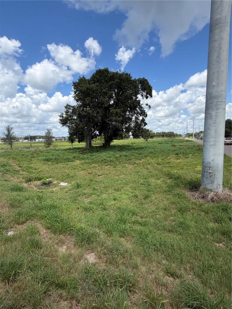 Miami Street, Lake Wales, FL 33853 Photo