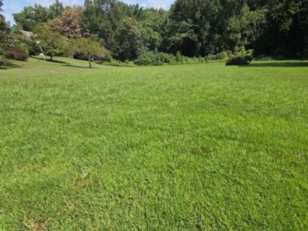 BENNETT AVENUE , NORTH EAST, MD 21901