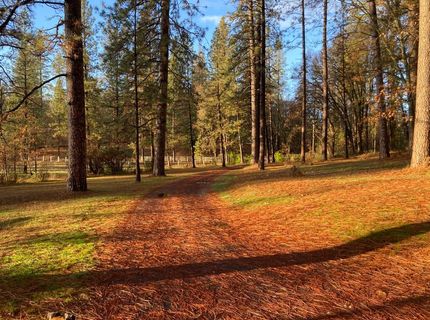 12777 Hidden Valley Rd, Grass Valley, CA 95949 Photo