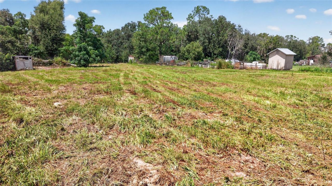 13831 Carter Island Road , Groveland, FL 34736 Photo