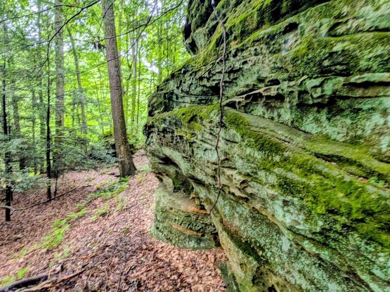 24639 Ohio 180 , Rockbridge, OH 43149 Photo 18