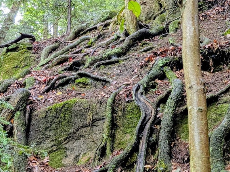 24639 Ohio 180 , Rockbridge, OH 43149 Photo 2