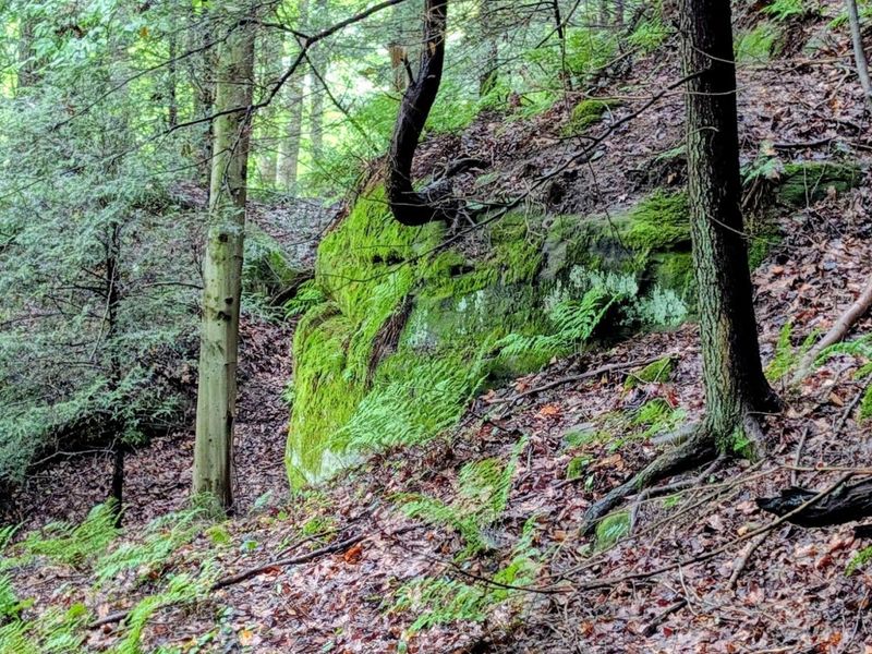 24639 Ohio 180 , Rockbridge, OH 43149 Photo 22