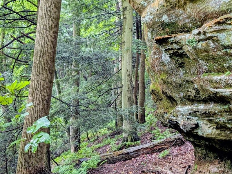 24639 Ohio 180 , Rockbridge, OH 43149 Photo 23