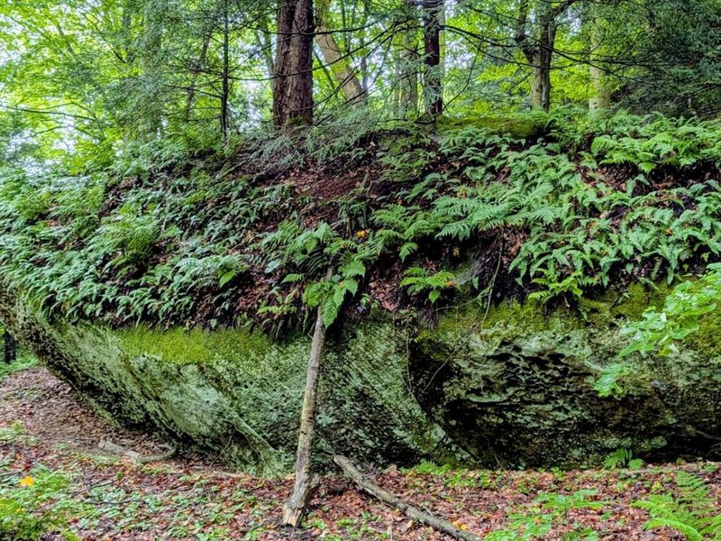 24639 Ohio 180 , Rockbridge, OH 43149 Photo 3